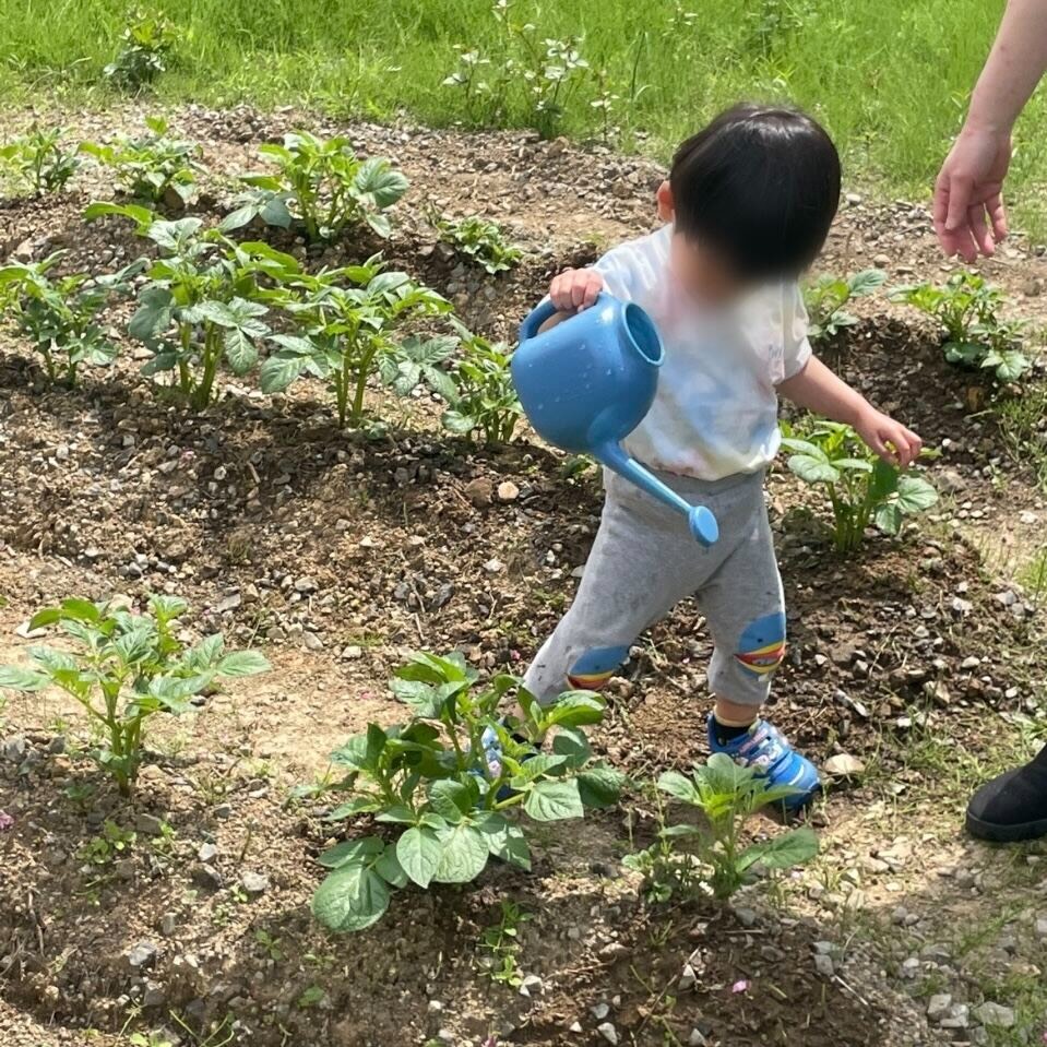 屋外での活動